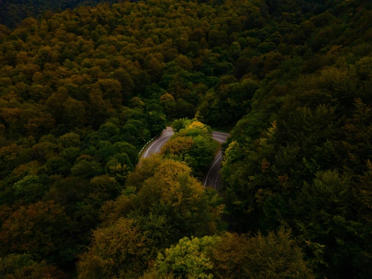 aerial pograph of a road and forested area