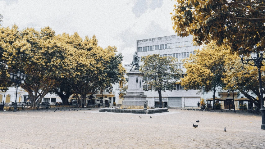 a couple of park benches under trees in front of a building