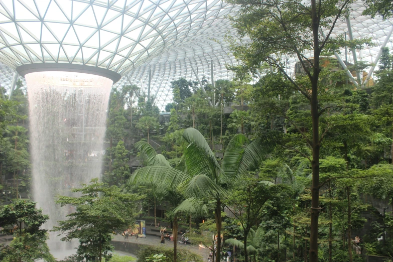 waterfall inside an artificial tropical rainforest park