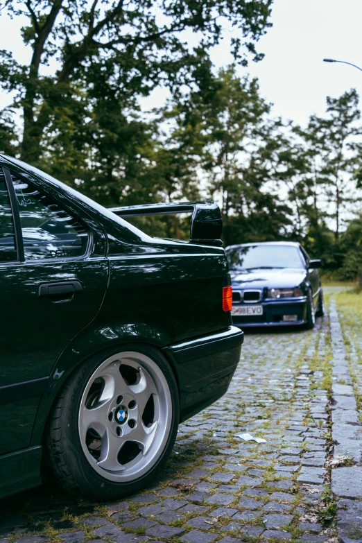 cars on brick street next to trees in city