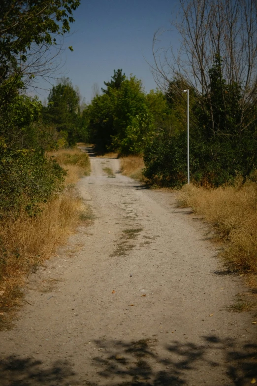 a rural dirt road leading to a fence and wooded area