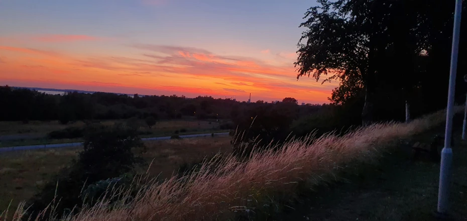 the sun sets behind a lush green forest