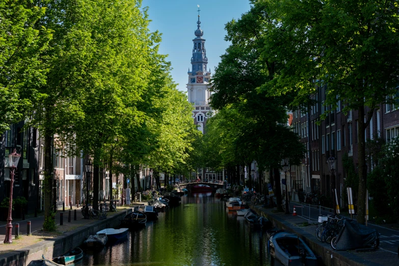 a canal that is running through some trees