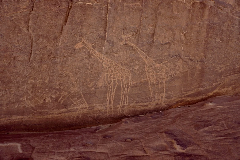 three animals on the side of a rock wall with some people walking around