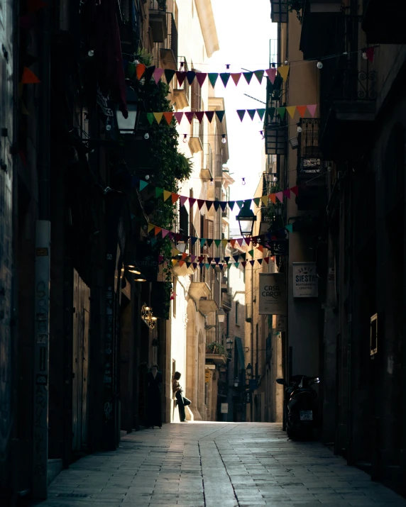 a narrow alley lined with potted plants and hanging flags