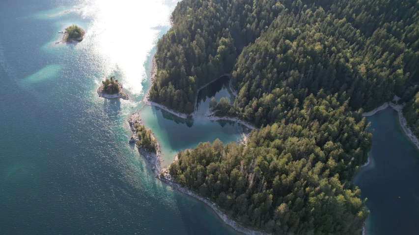 the ocean and several trees are on an island