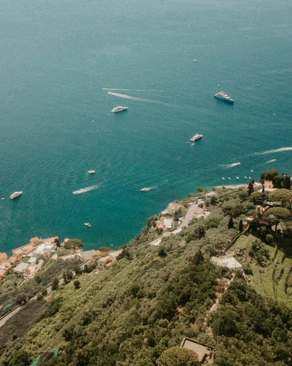 boats floating in a large body of water near trees