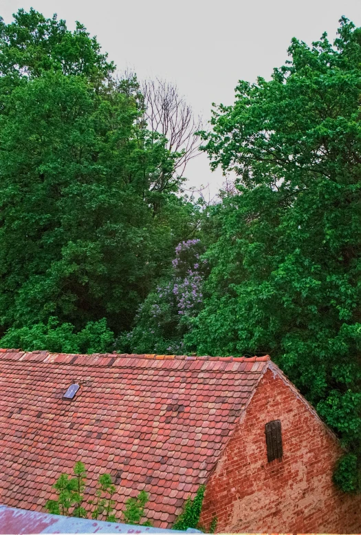 a red brick house in the woods with a brick roof