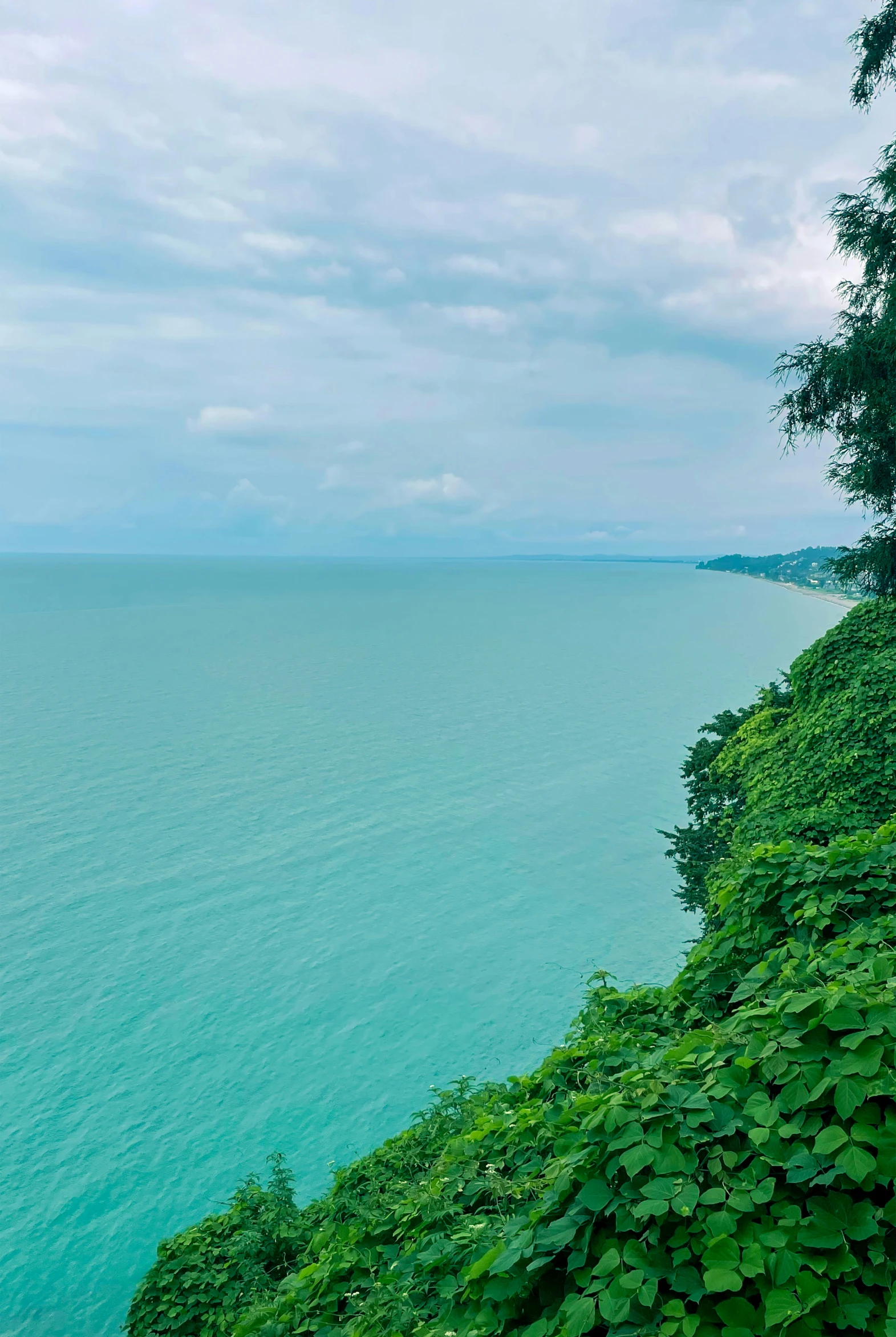 a view of the ocean with green vegetation near by