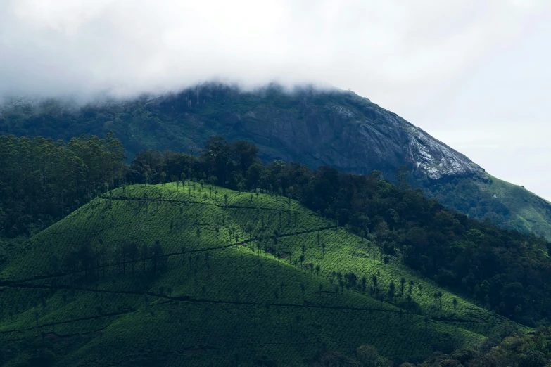 a lone hill with trees near by on a cloudy day