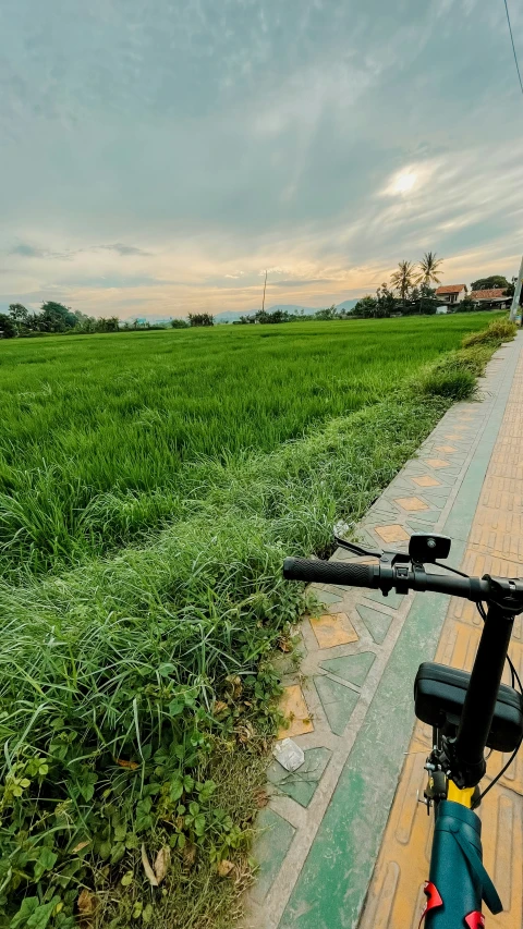 bike parked next to a grassy field on a road