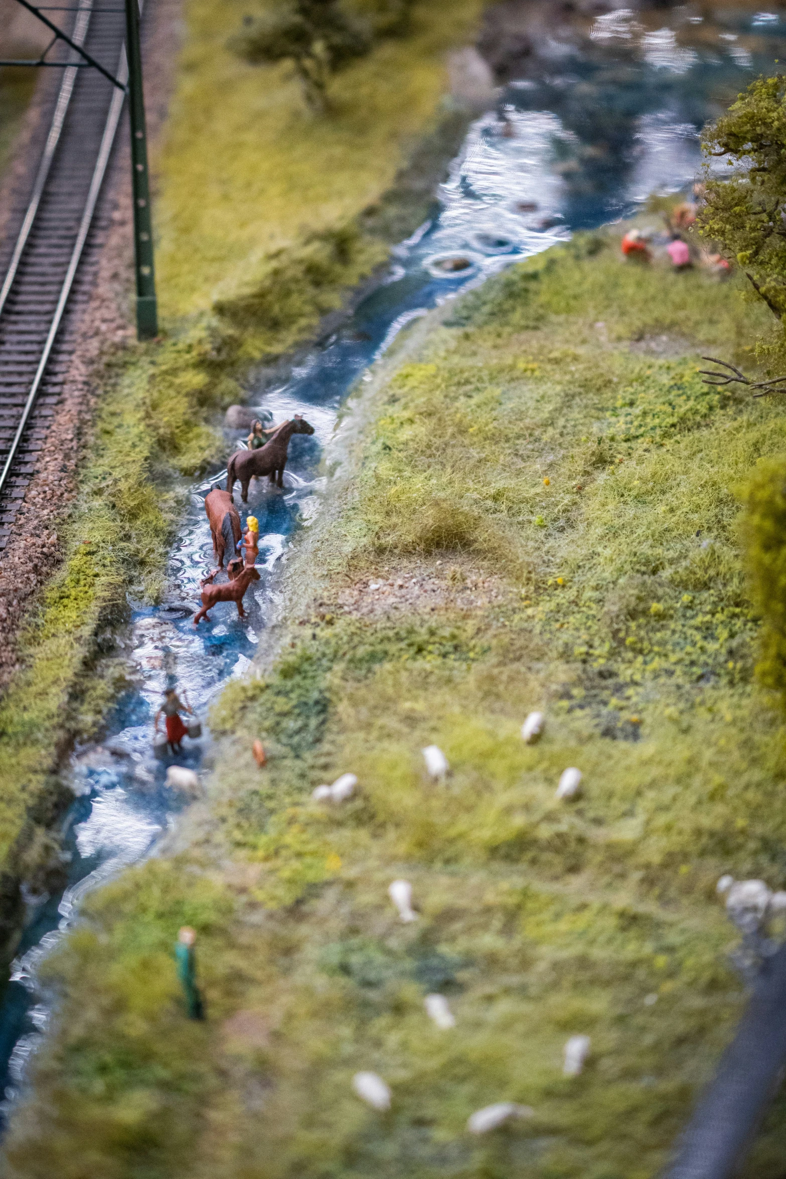 several small animals are gathered on the side of a river