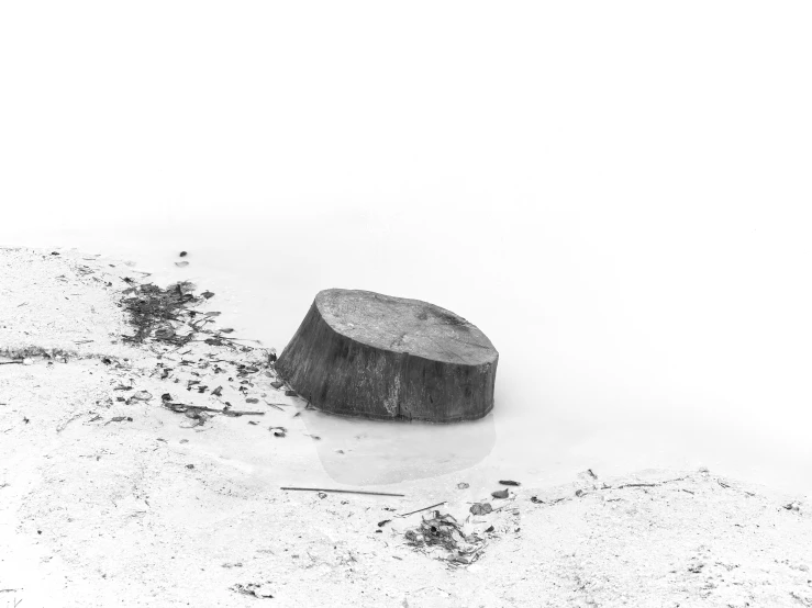 a black and white po of a log on the sand