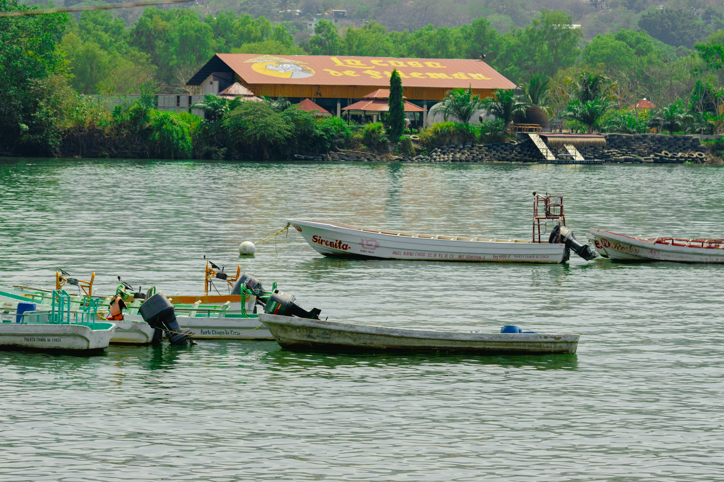 a group of people are in the water on a boat