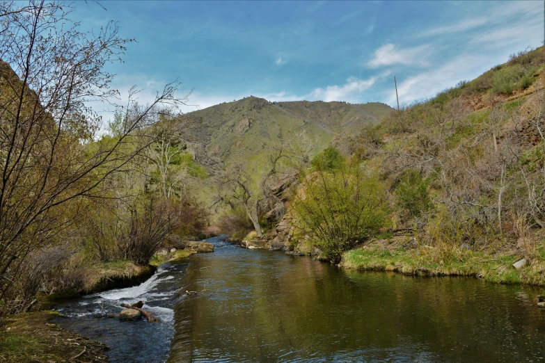 a river with lots of water surrounded by forest