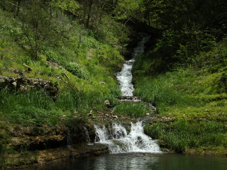 a small waterfall surrounded by green vegetation and shrubs