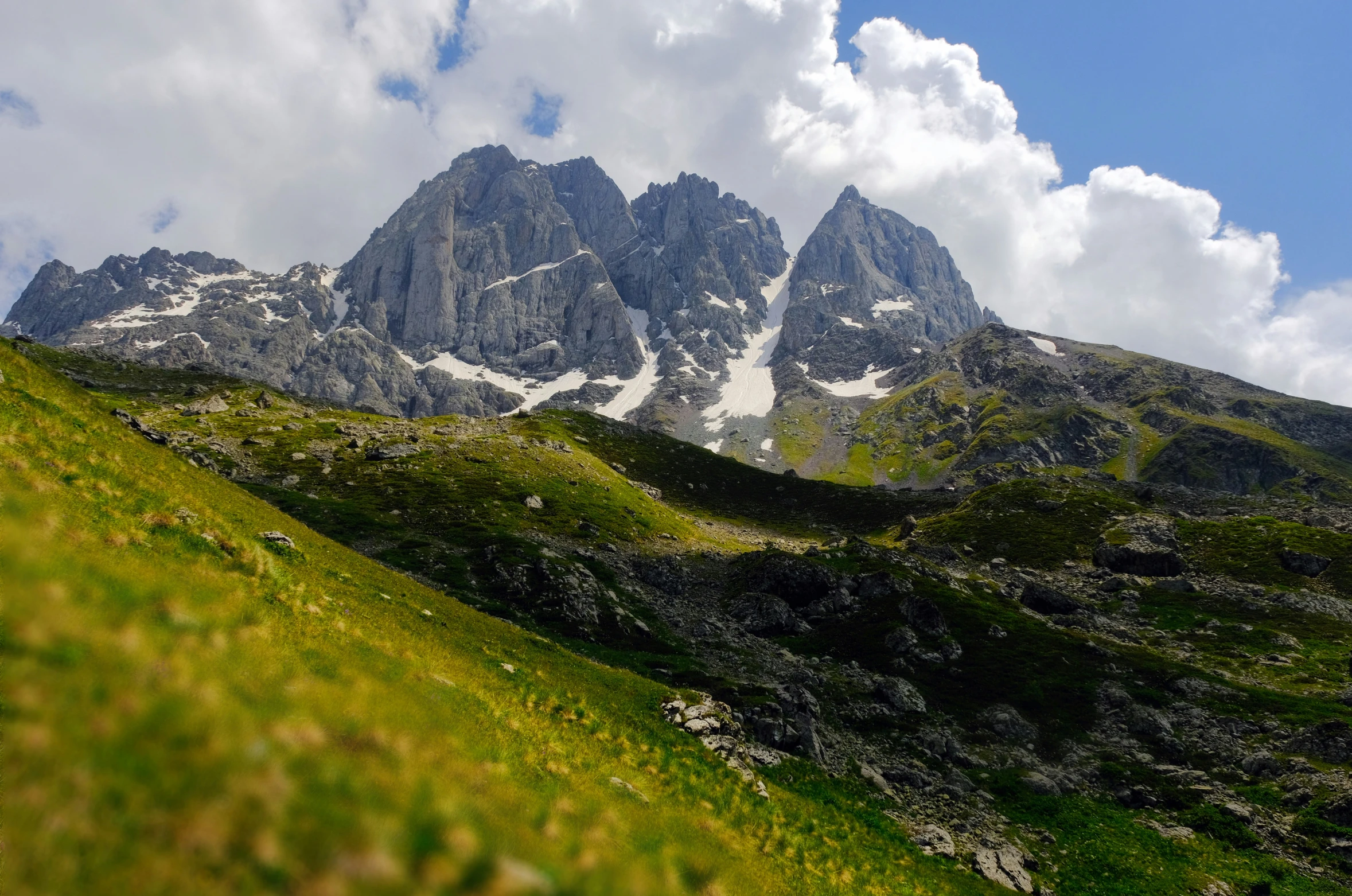 a view of a mountain peak from an area with grassy fields