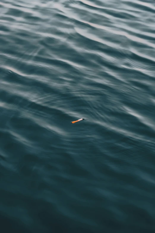 a small orange piece of soing floating in the ocean