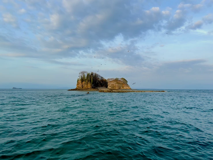 a small island with trees and birds above it