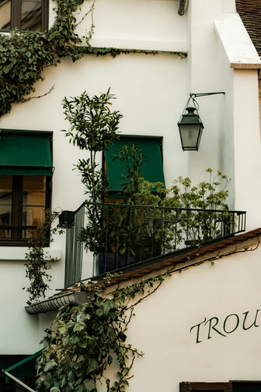 an outdoor area with green foliage and a lamp hanging over the balcony