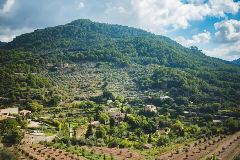 a valley with many trees on the mountains