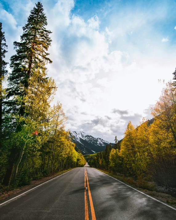 an empty road with trees on the side