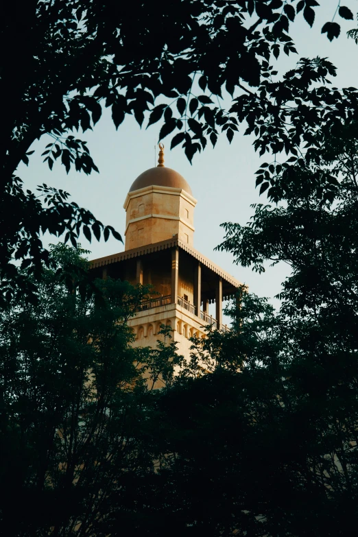 the top of a building with trees surrounding it