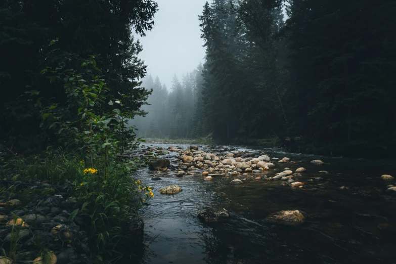 river and rocks near forest during night time