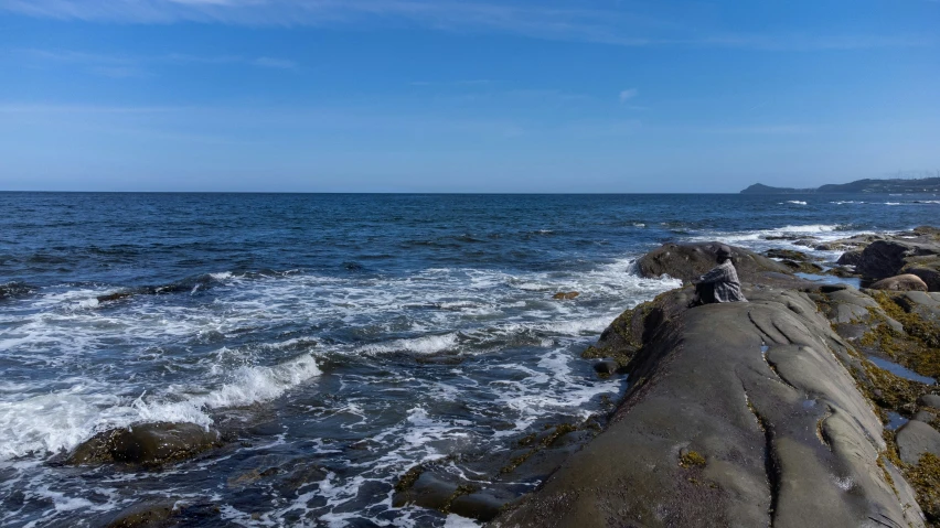 the rocks at the shore are covered with snow