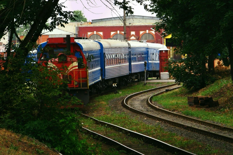 a train driving through a wooded area of land