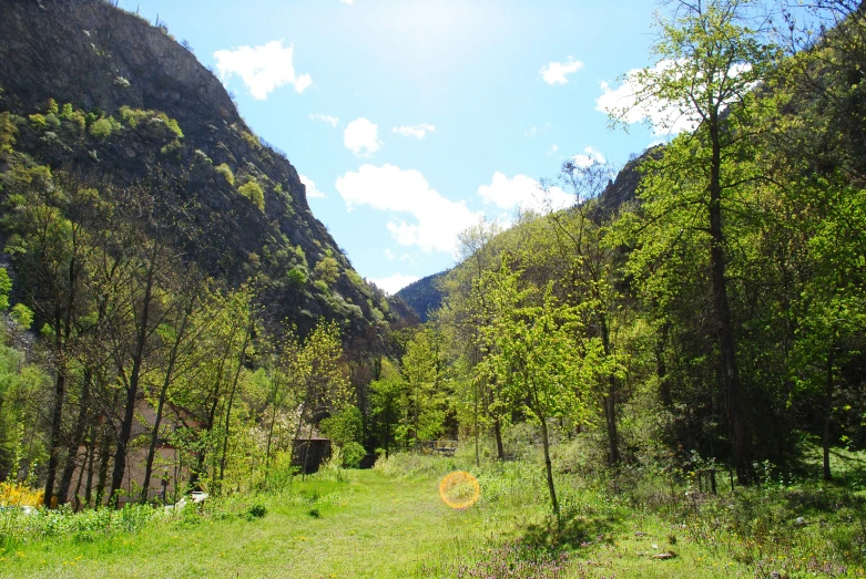 a narrow road in a lush green mountainous area