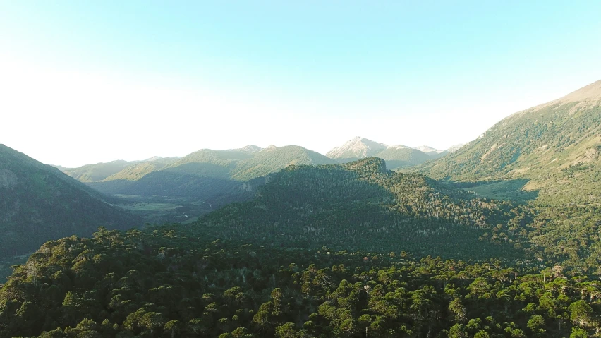 a view of trees and hills in the foreground