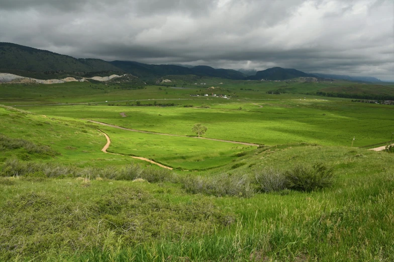 an empty field with a dirt path running through it