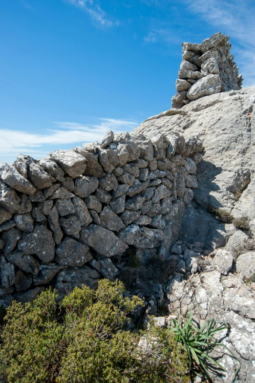 a very big rock wall with some plants near by