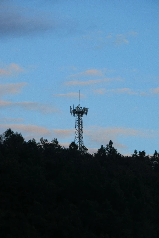 silhouette of trees and television towers against a dusk sky