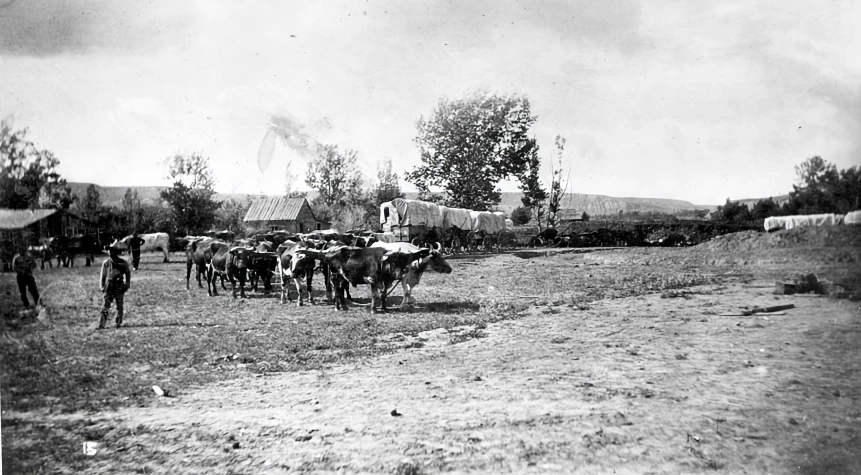 an old pograph of horses and men on a dirt road