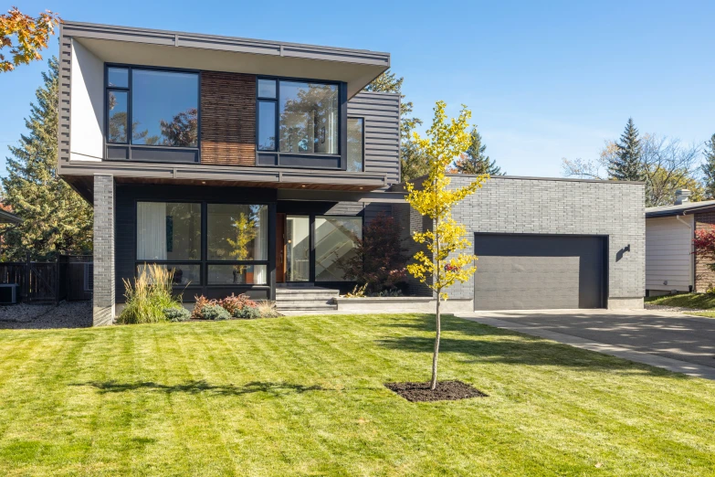 an open yard area with some green grass