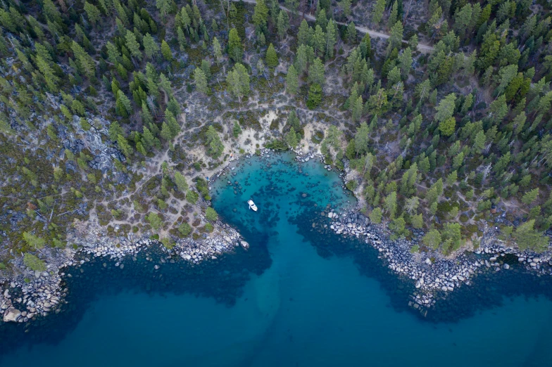 a body of water surrounded by trees and blue water