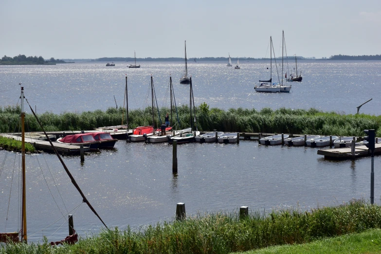 a large body of water with a marina surrounded by grass