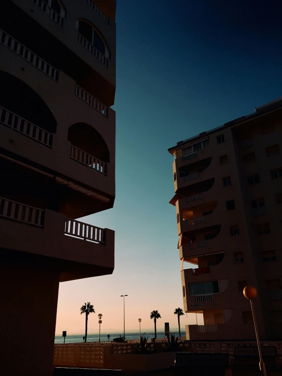 palm trees and palm trees in front of buildings