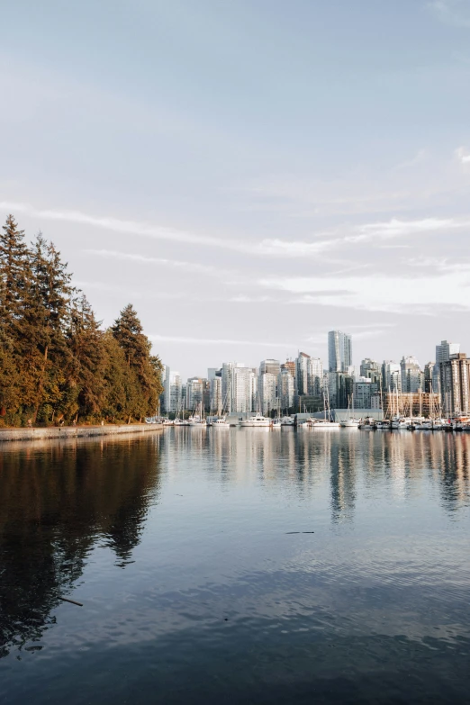 an image of a city skyline in the background