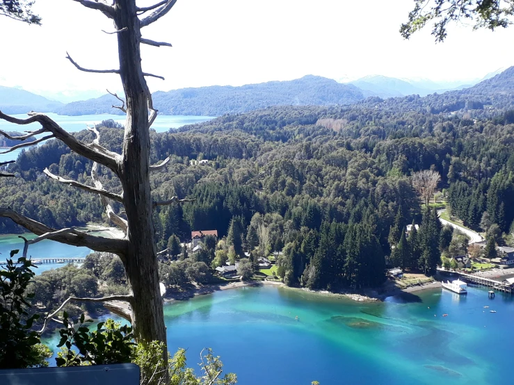 a large body of water next to trees and a forest