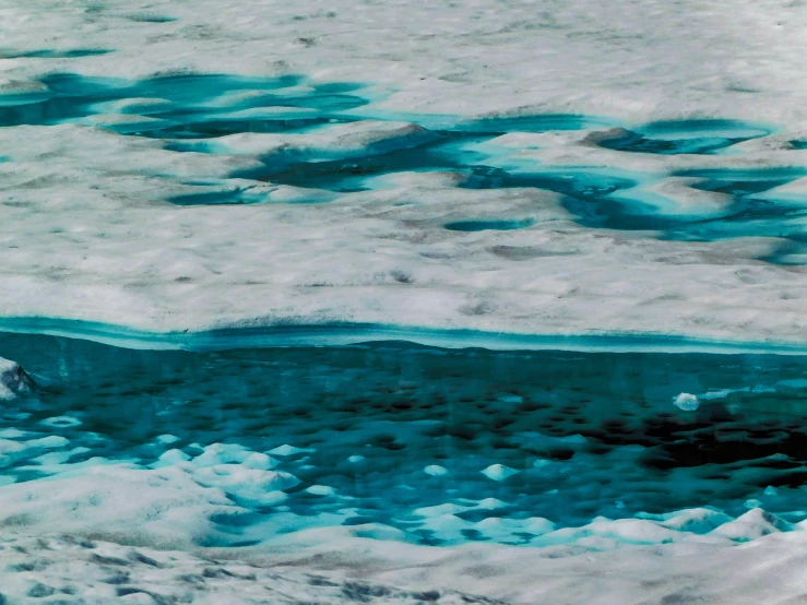 a melting rock near the water covered in snow