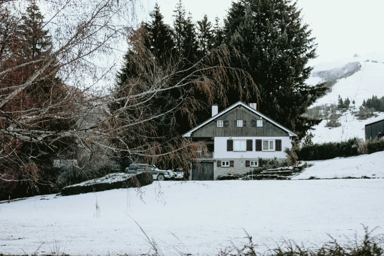 a snowy mountain with houses and trees with snow on the ground