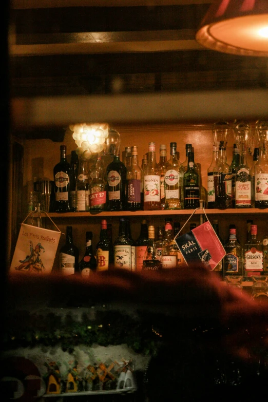 bottles of alcohol on shelves of a store