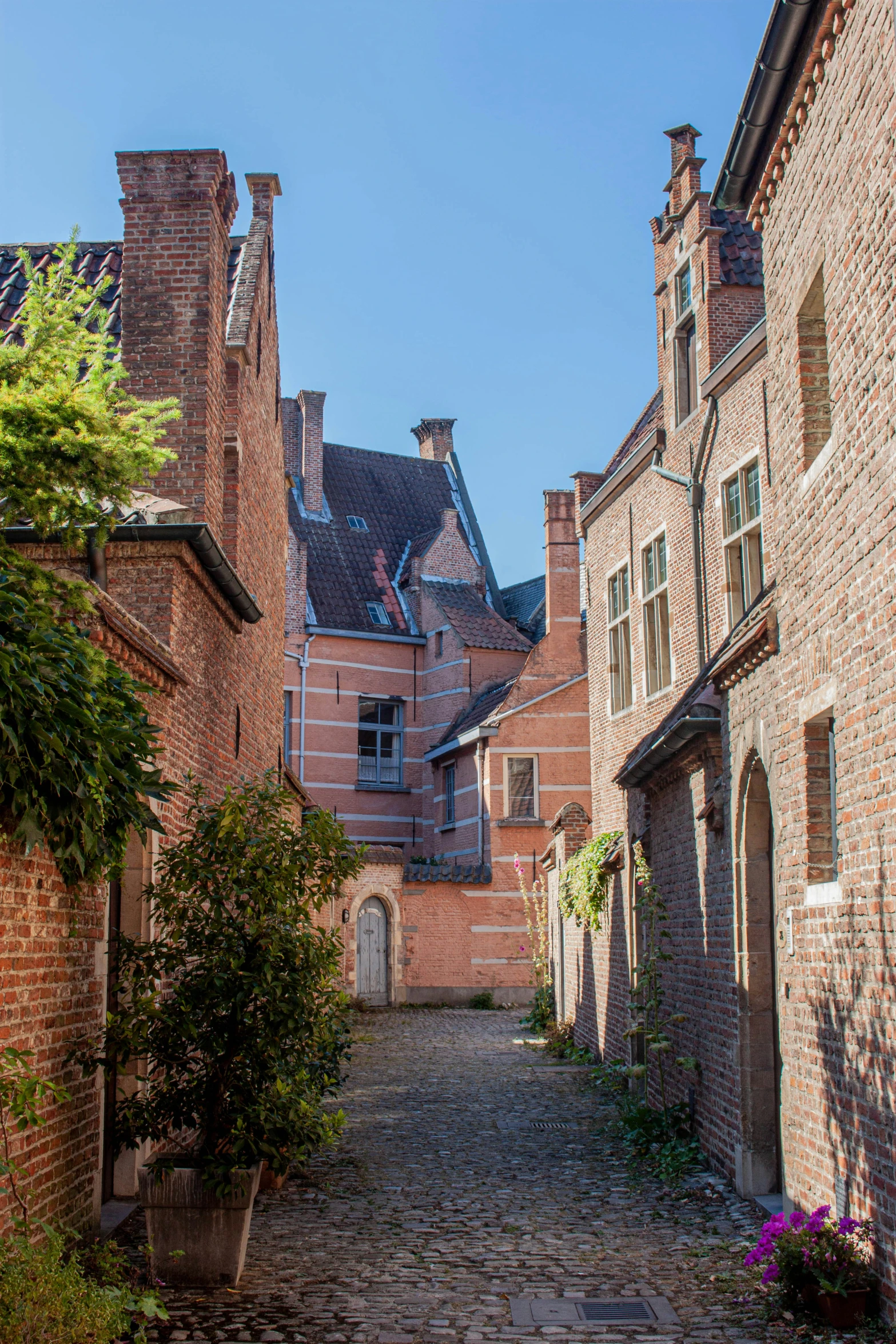 some small buildings and a street with bushes