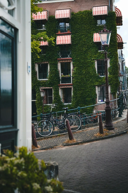 a building that has plants growing on it