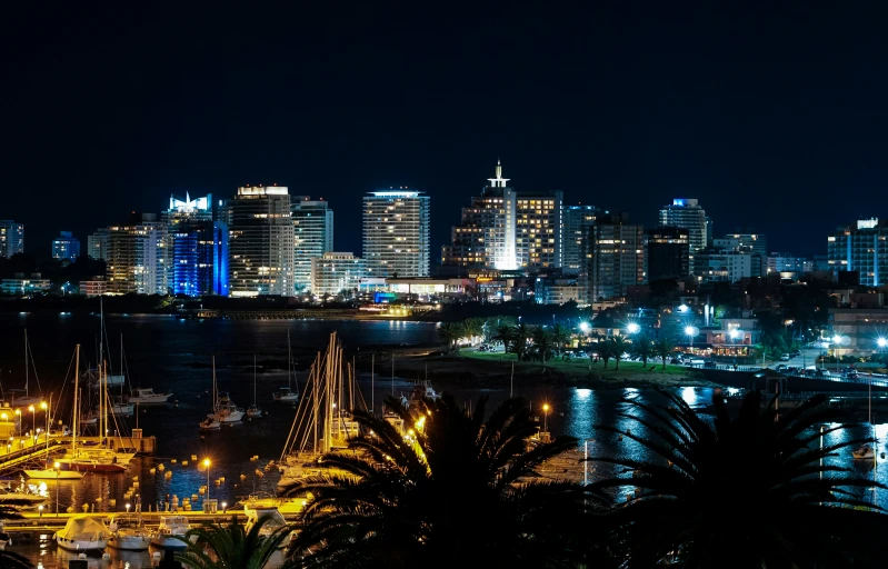 night time cityscape with large boats in harbor