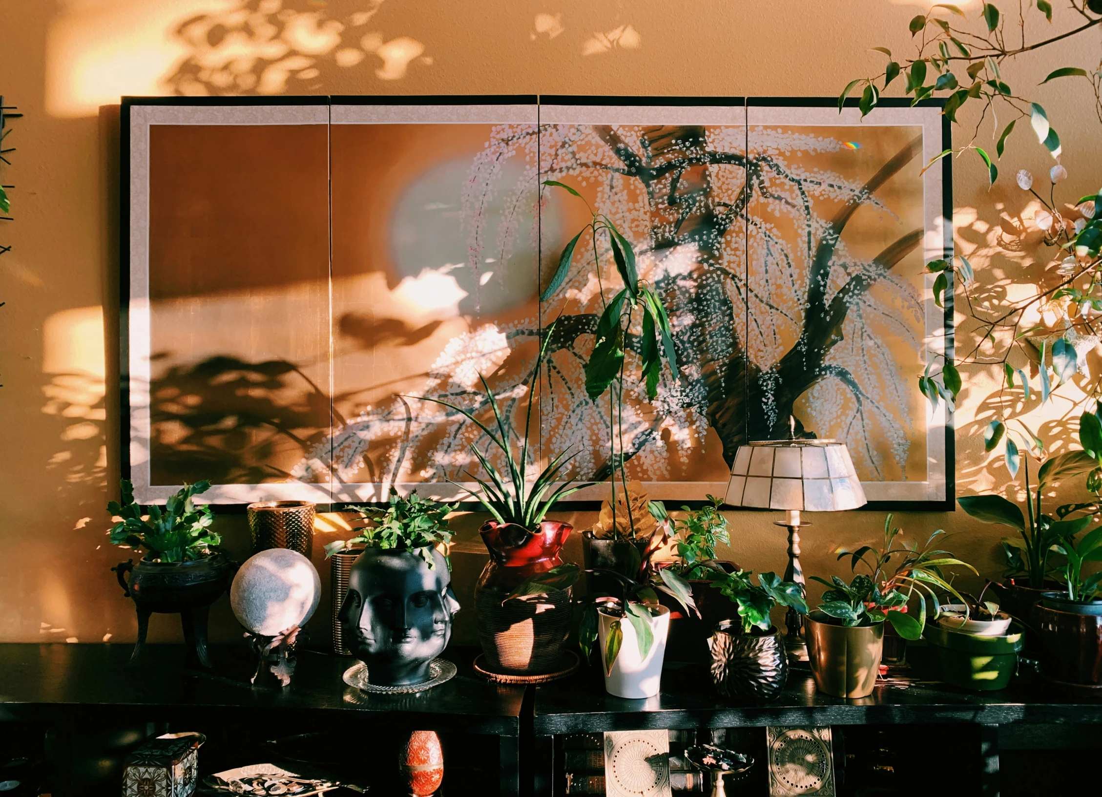 there are many houseplants and plants on this table