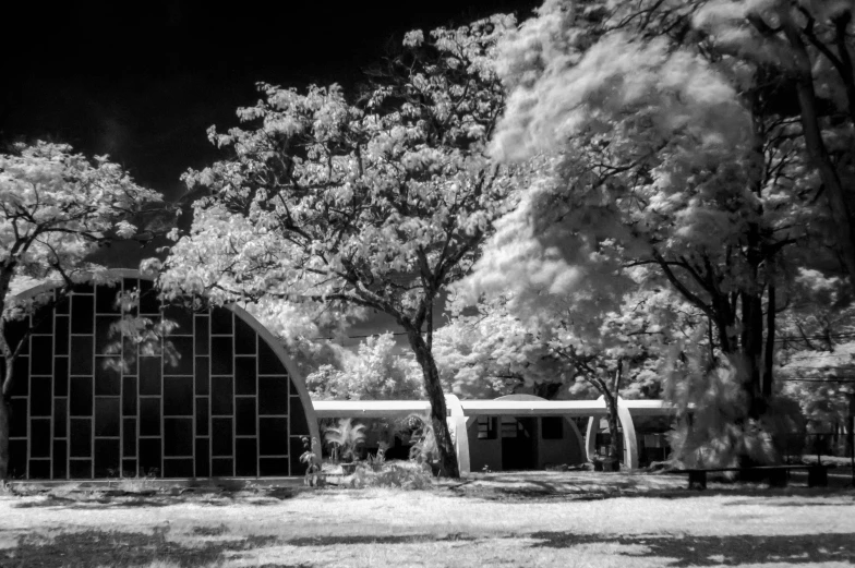 there is a small building that has many trees around it